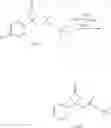 Fig. 278 - Inhibitors of Akt activity