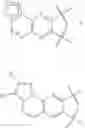 Fig. 30 - Inhibitors of Akt activity