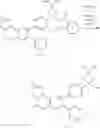 Fig. 305 - Inhibitors of Akt activity