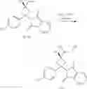 Fig. 306 - Inhibitors of Akt activity