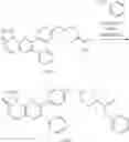 Fig. 315 - Inhibitors of Akt activity