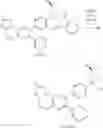 Fig. 386 - Inhibitors of Akt activity