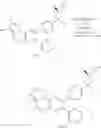 Fig. 569 - Inhibitors of Akt activity
