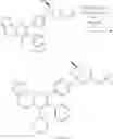 Fig. 570 - Inhibitors of Akt activity