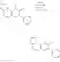 Fig. 78 - Inhibitors of Akt activity