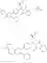Fig. 89 - Inhibitors of Akt activity