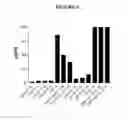 Fig. 06 - Pyrimidine classical cannabinoid compounds and related methods of use