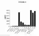 Fig. 09 - Pyrimidine classical cannabinoid compounds and related methods of use