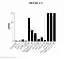 Fig. 13 - Pyrimidine classical cannabinoid compounds and related methods of use