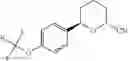 Fig. 126 - CCR2 receptor antagonists and uses thereof