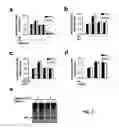 Fig. 05 - G PROTEIN-COUPLED RECEPTOR ANTAGONIST AND ITS USE FOR PREVENTING AND TREATING ALZHEIMER'S DISEASE