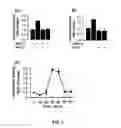 Fig. 07 - G PROTEIN-COUPLED RECEPTOR ANTAGONIST AND ITS USE FOR PREVENTING AND TREATING ALZHEIMER'S DISEASE