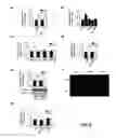 Fig. 08 - G PROTEIN-COUPLED RECEPTOR ANTAGONIST AND ITS USE FOR PREVENTING AND TREATING ALZHEIMER'S DISEASE
