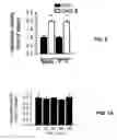 Fig. 09 - G PROTEIN-COUPLED RECEPTOR ANTAGONIST AND ITS USE FOR PREVENTING AND TREATING ALZHEIMER'S DISEASE