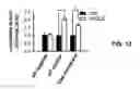 Fig. 11 - G PROTEIN-COUPLED RECEPTOR ANTAGONIST AND ITS USE FOR PREVENTING AND TREATING ALZHEIMER'S DISEASE