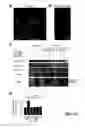 Fig. 12 - G PROTEIN-COUPLED RECEPTOR ANTAGONIST AND ITS USE FOR PREVENTING AND TREATING ALZHEIMER'S DISEASE