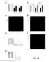 Fig. 13 - G PROTEIN-COUPLED RECEPTOR ANTAGONIST AND ITS USE FOR PREVENTING AND TREATING ALZHEIMER'S DISEASE
