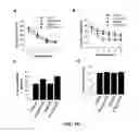 Fig. 14 - G PROTEIN-COUPLED RECEPTOR ANTAGONIST AND ITS USE FOR PREVENTING AND TREATING ALZHEIMER'S DISEASE