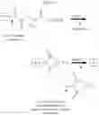 Fig. 14 - Dual phase drug release system