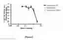 Fig. 07 - Alkynyl phenyl derivative compounds for treating ophthalmic diseases and disorders
