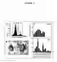 Fig. 03 - VECTOR(S) CONTAINING AN INDUCIBLE GENE ENCODING A CDK4/CDK6 INHIBITOR USEFUL FOR TREATING NEURODEGENERATIVE DISORDERS OR DISEASES ASSOCIATED WITH AN UNSCHEDULED ACTIVATION OF THE CELL CYCLE
