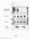 Fig. 11 - Compositions and methods for modulating activity of capped small RNAS