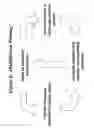 Fig. 09 - RNA Interference Mediated Inhibition of the Nerve Growth Factor Beta Chain (NGFB) Gene Expression Using Short Interfering Nucleic Acid (siNA)