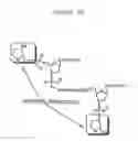 Fig. 13 - RNA Interference Mediated Inhibition of the Nerve Growth Factor Beta Chain (NGFB) Gene Expression Using Short Interfering Nucleic Acid (siNA)