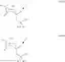 Fig. 17 - RNA Interference Mediated Inhibition of the Nerve Growth Factor Beta Chain (NGFB) Gene Expression Using Short Interfering Nucleic Acid (siNA)