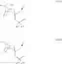Fig. 21 - RNA Interference Mediated Inhibition of the Intercellular Adhesion Molecule 1 (ICAM-1) Gene Expression Using Short Interfering Nucleic Acid (siNA)