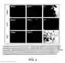 Fig. 05 - PDK inhibitor compounds and methods of use thereof