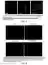 Fig. 06 - PDK inhibitor compounds and methods of use thereof