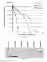 Fig. 06 - Long-acting veterinary polypeptides and methods of producing and administering same