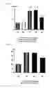 Fig. 04 - THERAPEUTIC AGENT COMPRISING VASOHIBIN