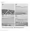 Fig. 06 - THERAPEUTIC AGENT COMPRISING VASOHIBIN
