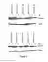 Fig. 06 - COMPOUNDS FOR THE MODULATION OF BETA-CATENIN EXPRESSION