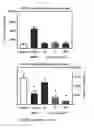 Fig. 02 - Methods for treating restless legs syndrome