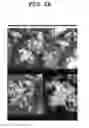 Fig. 07 - Method for obtaining solid micro- or nanoparticles