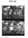 Fig. 08 - Method for obtaining solid micro- or nanoparticles