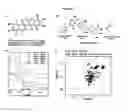 Fig. 02 - Optically pure apogossypol derivative as pan-active inhibitor of anti-apoptotic B-cell lymphoma/leukemia-2 (BCL-2)