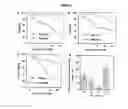 Fig. 05 - Optically pure apogossypol derivative as pan-active inhibitor of anti-apoptotic B-cell lymphoma/leukemia-2 (BCL-2)