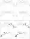 Fig. 16 - Optically pure apogossypol derivative as pan-active inhibitor of anti-apoptotic B-cell lymphoma/leukemia-2 (BCL-2)