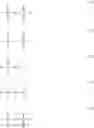 Fig. 17 - Functionalized main chain polymers