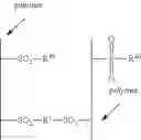 Fig. 34 - Functionalized main chain polymers