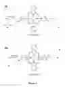 Fig. 02 - Substituted benzazoloporphyrazines for polymerization and surface attachment and articles formed therefrom