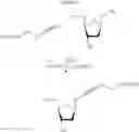 Fig. 11 - CYANINE-TYPE COMPOUNDS HAVING AN ALKYNYL LINKER ARM