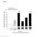 Fig. 02 - Selective glucagon-like-peptide-2 (GLP-2) analogues