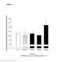 Fig. 05 - Selective glucagon-like-peptide-2 (GLP-2) analogues