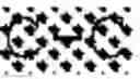 Fig. 07 - IMMUNOSUPPRESSIVE PEPTIDE