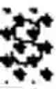 Fig. 09 - IMMUNOSUPPRESSIVE PEPTIDE